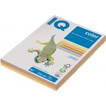 IQ Color Kopierpapier A4 5 x 50 Blatt 80 g/m² trendig-bunt